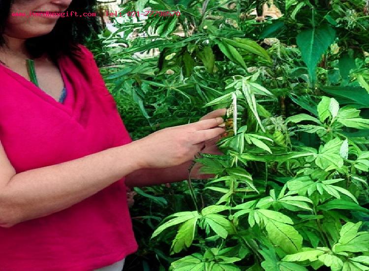 شناسایی هدف مشتریان