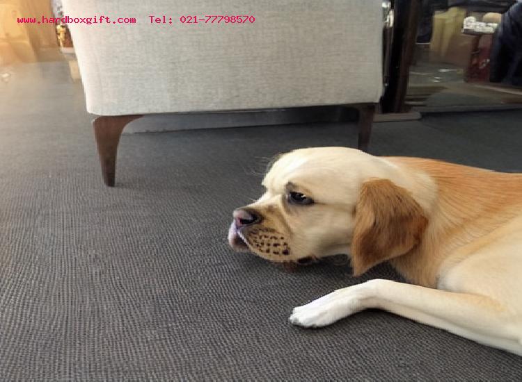 استفاده از جزئیات و لوازم جانبی