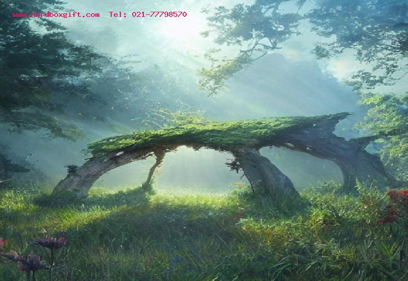 جعبه هارد باکس: تاریخچه و کاربردها