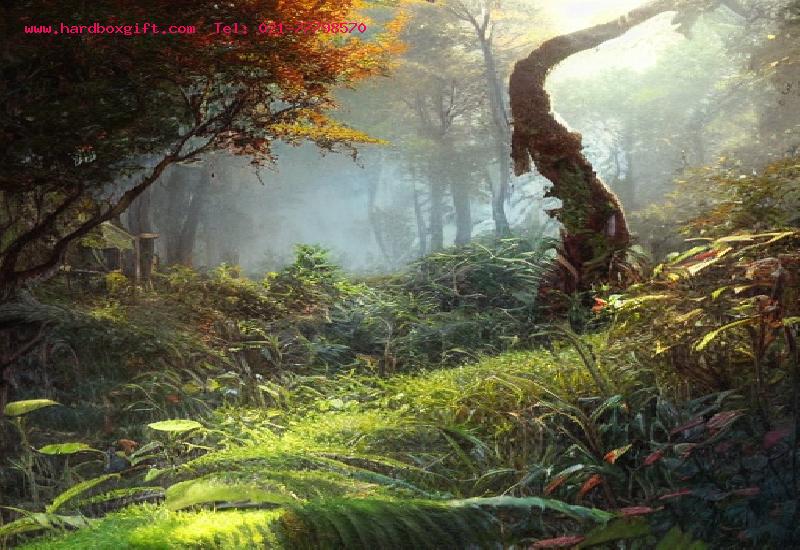 اهمیت و کاربرد هارد باکس تبلیغاتی در رشد کسب و کار